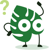 Mascotte Jungloo